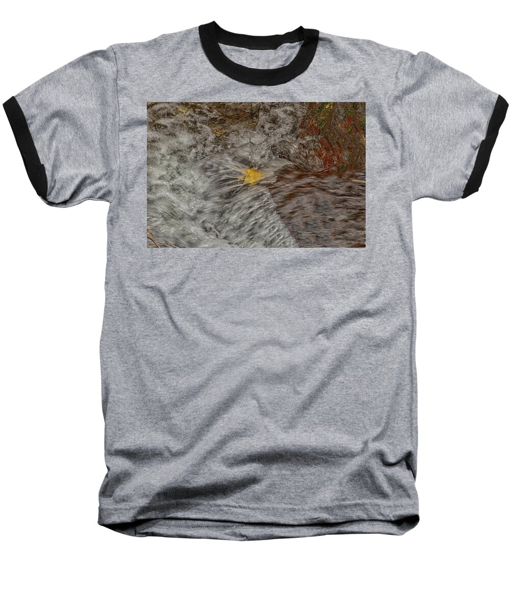 Fall Baseball T-Shirt featuring the photograph Fallen Leaf by Patricia Dennis