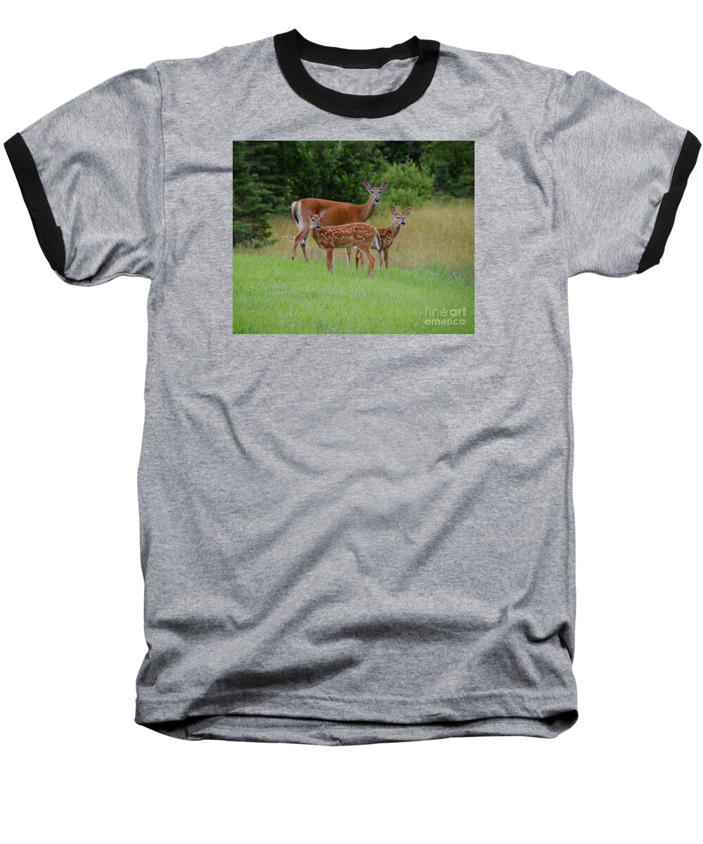Deer Baseball T-Shirt featuring the photograph Family Portrait by Sandra Updyke