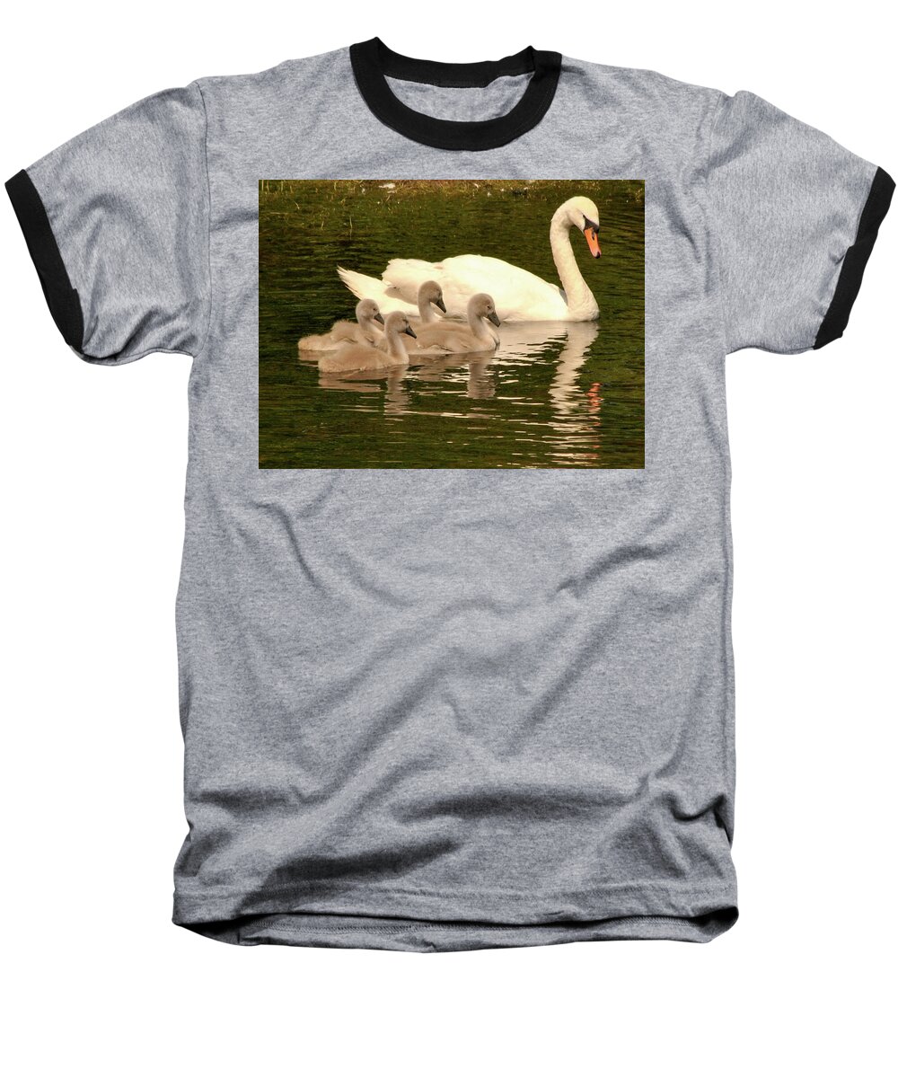 Swans Baseball T-Shirt featuring the photograph Family Swan by Joe Ormonde