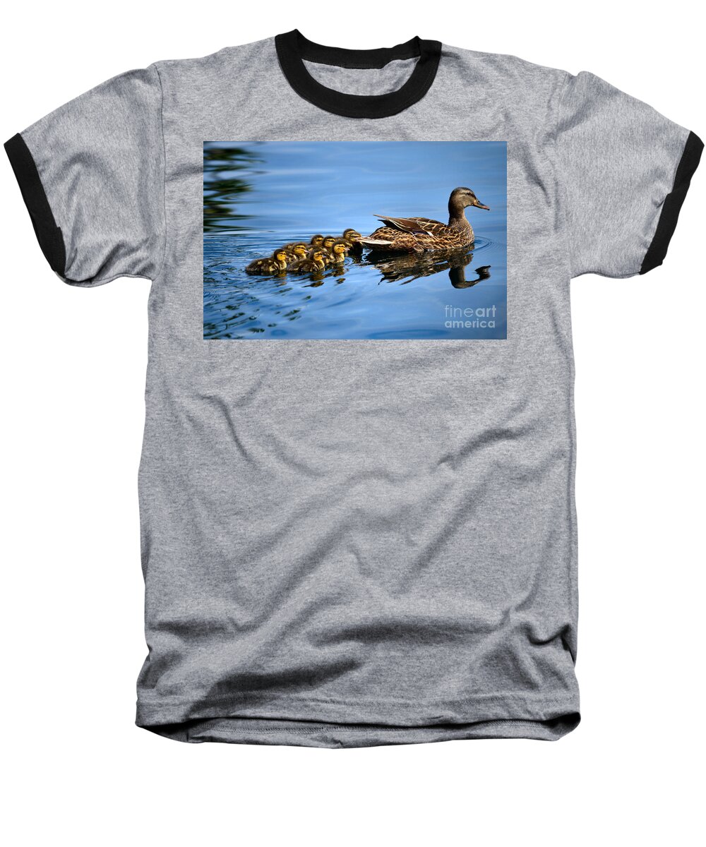 Nature Baseball T-Shirt featuring the photograph Family Swim by Deb Halloran