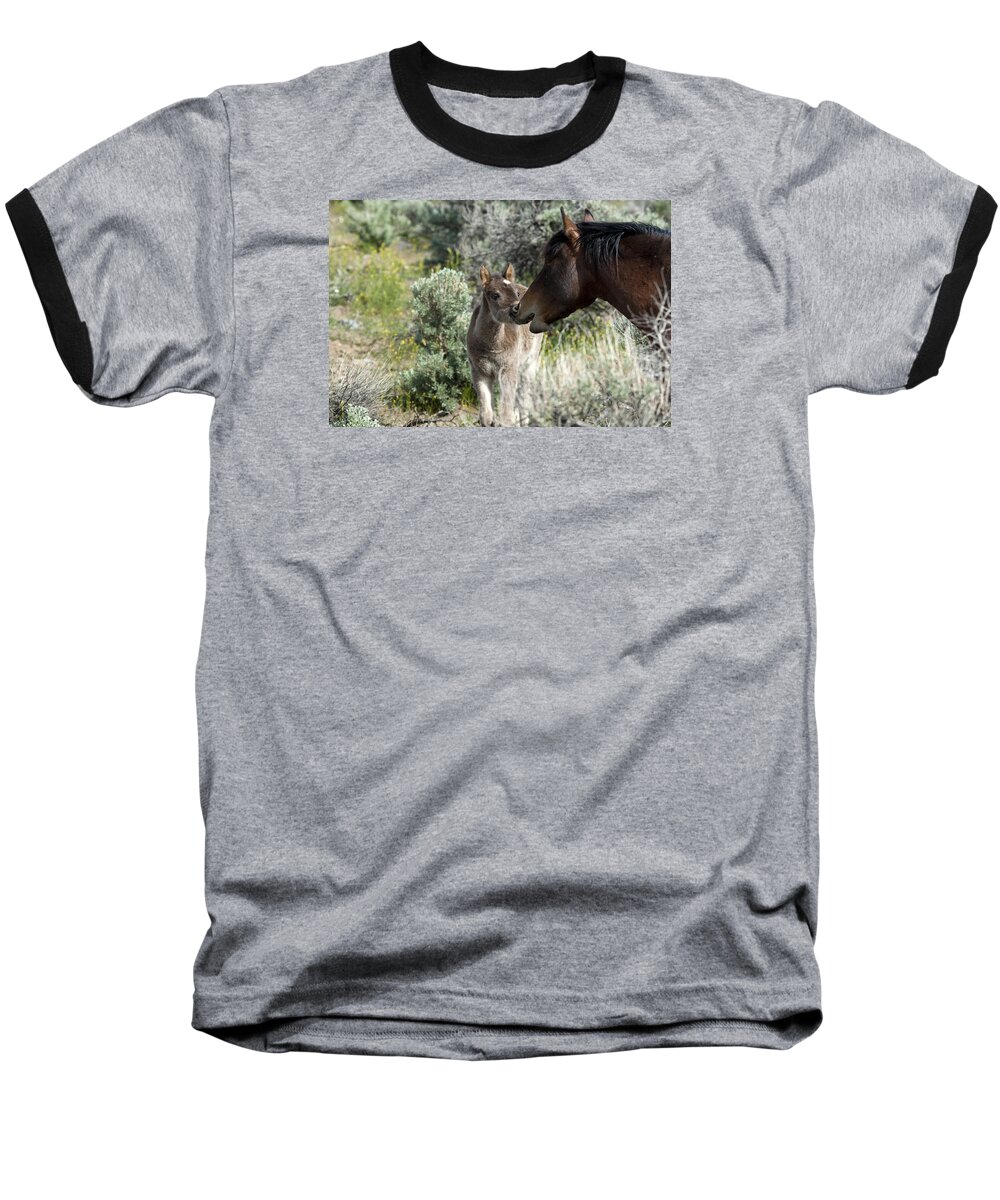 Horses Baseball T-Shirt featuring the photograph Father and Son talking story. by Waterdancer 