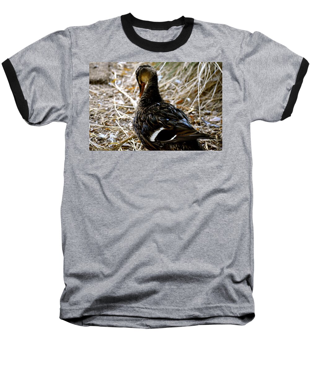 Duck Baseball T-Shirt featuring the photograph Feathers 2 by Melisa Elliott