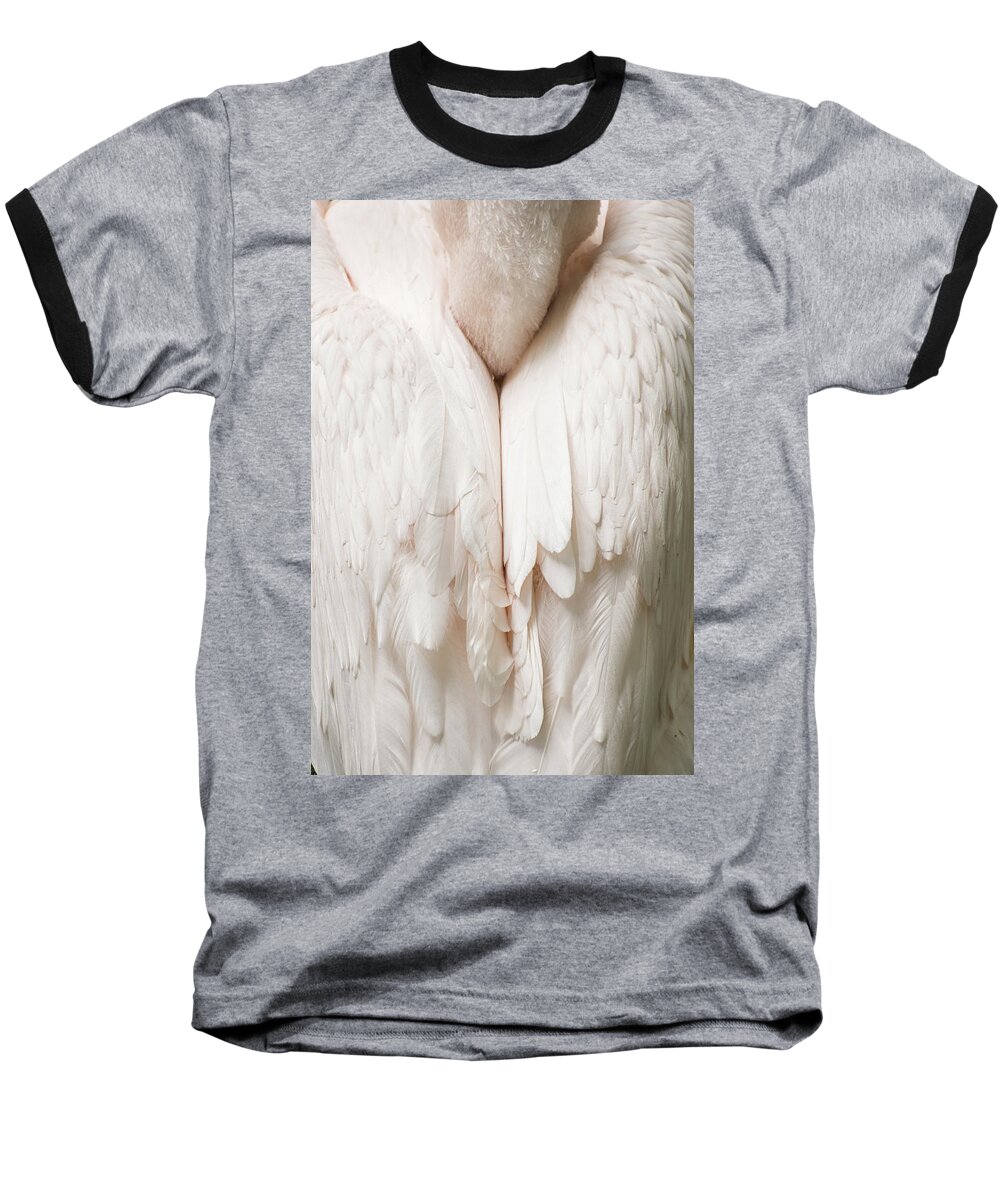 Eastern White Pelican Baseball T-Shirt featuring the photograph Feathers by Kuni Photography