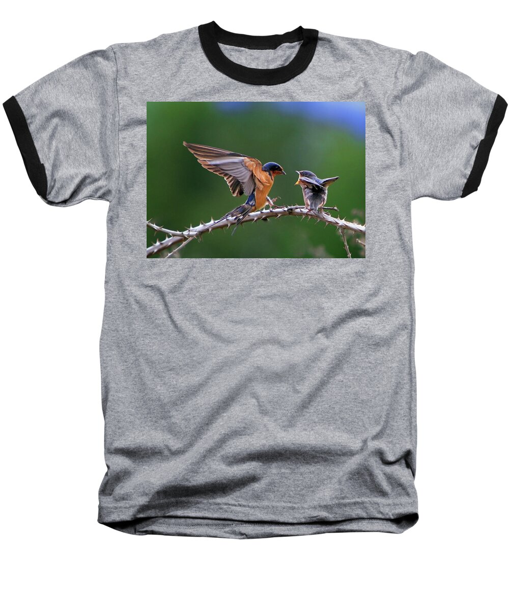 Birds Baseball T-Shirt featuring the photograph Feed Me by William Lee
