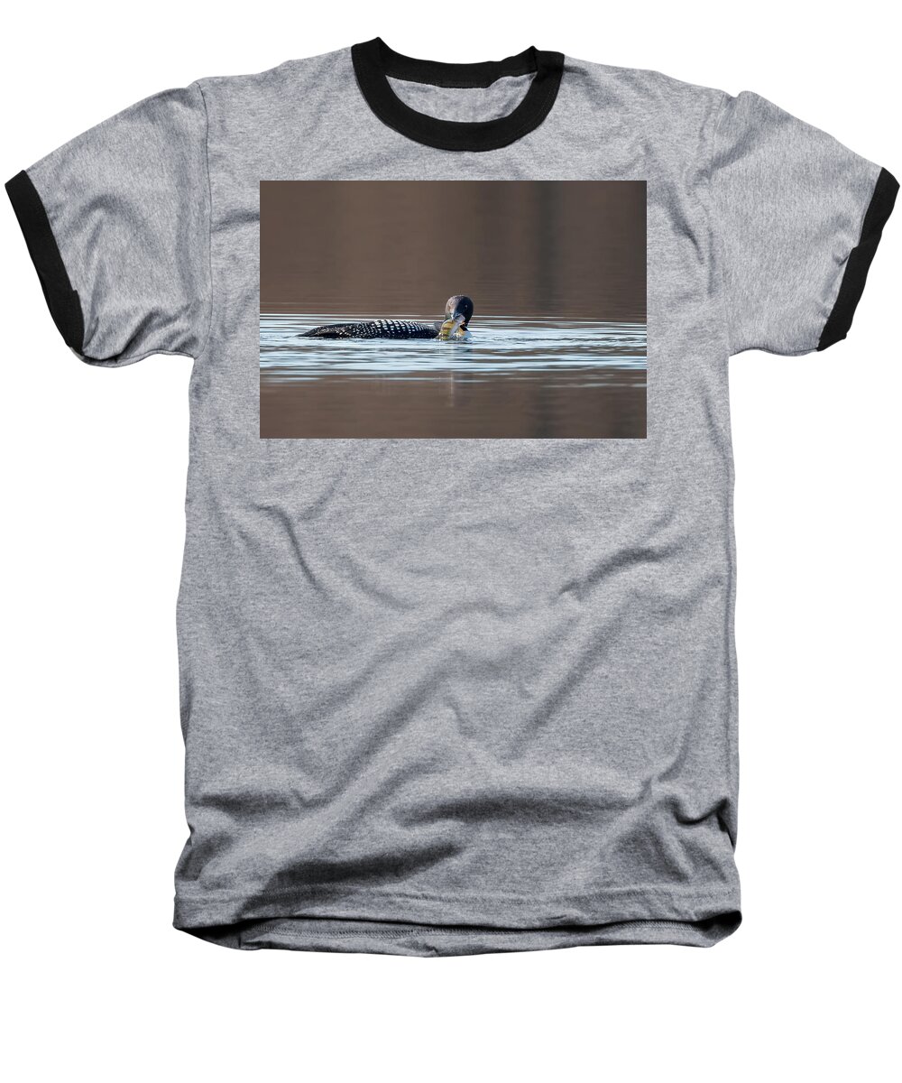 Loon Baseball T-Shirt featuring the photograph Feeding Common Loon by Bill Wakeley