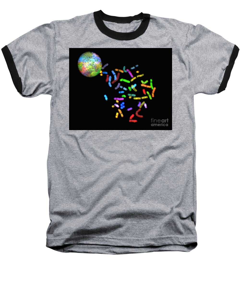 Science Baseball T-Shirt featuring the photograph Female Human Chromosomes, Normal, Sky by Science Source
