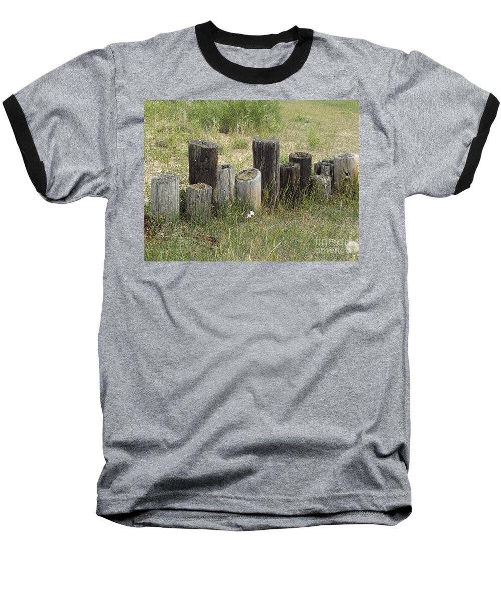 Fence Baseball T-Shirt featuring the photograph Fence Post all in a Row by Erick Schmidt