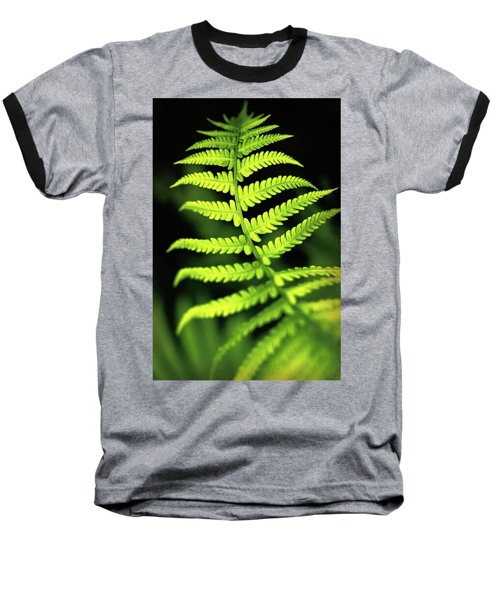Color Baseball T-Shirt featuring the photograph Fern Leaf by Robert FERD Frank