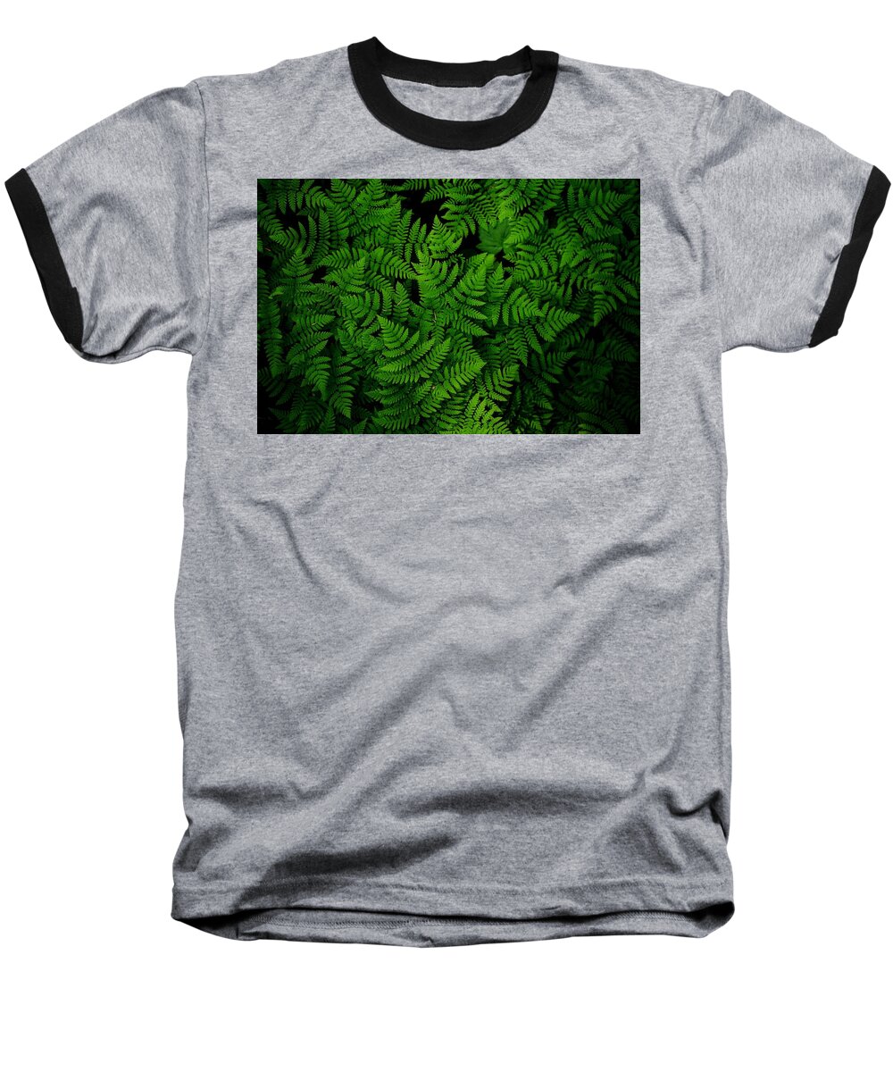 Ferns Galore Baseball T-Shirt featuring the photograph Ferns galore by Lynn Hopwood