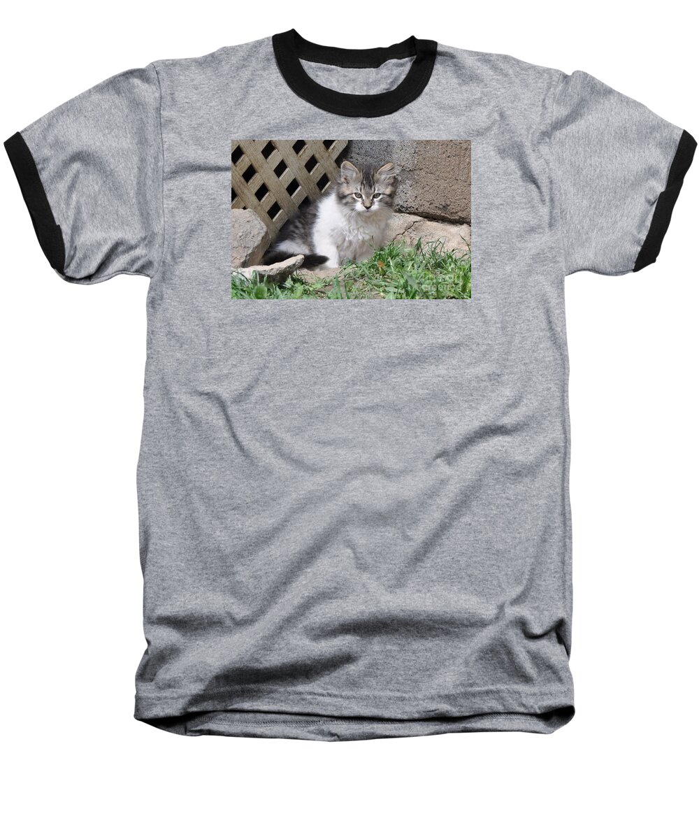 Cats Baseball T-Shirt featuring the photograph Ferocia Grumpy by Reb Frost