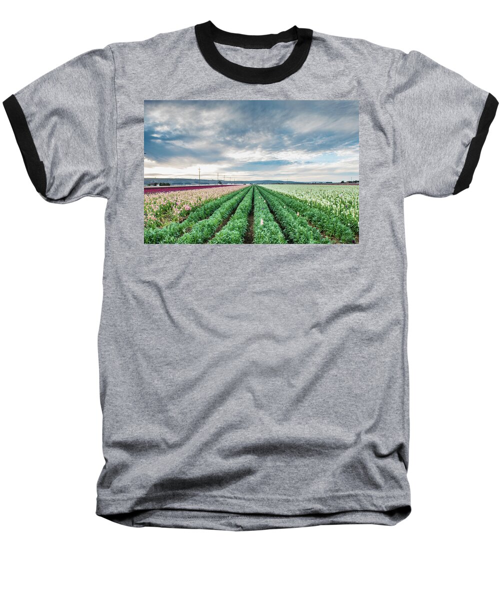 Flowers Baseball T-Shirt featuring the photograph Field of Flowers by Paul Johnson