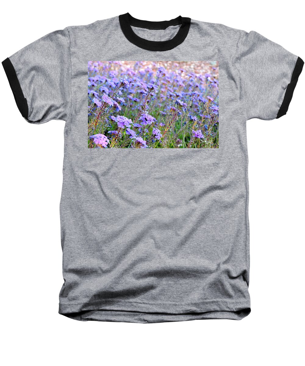 Lavendar Flowers. Little Flowers Baseball T-Shirt featuring the photograph Field of Lavendar by Patricia Haynes
