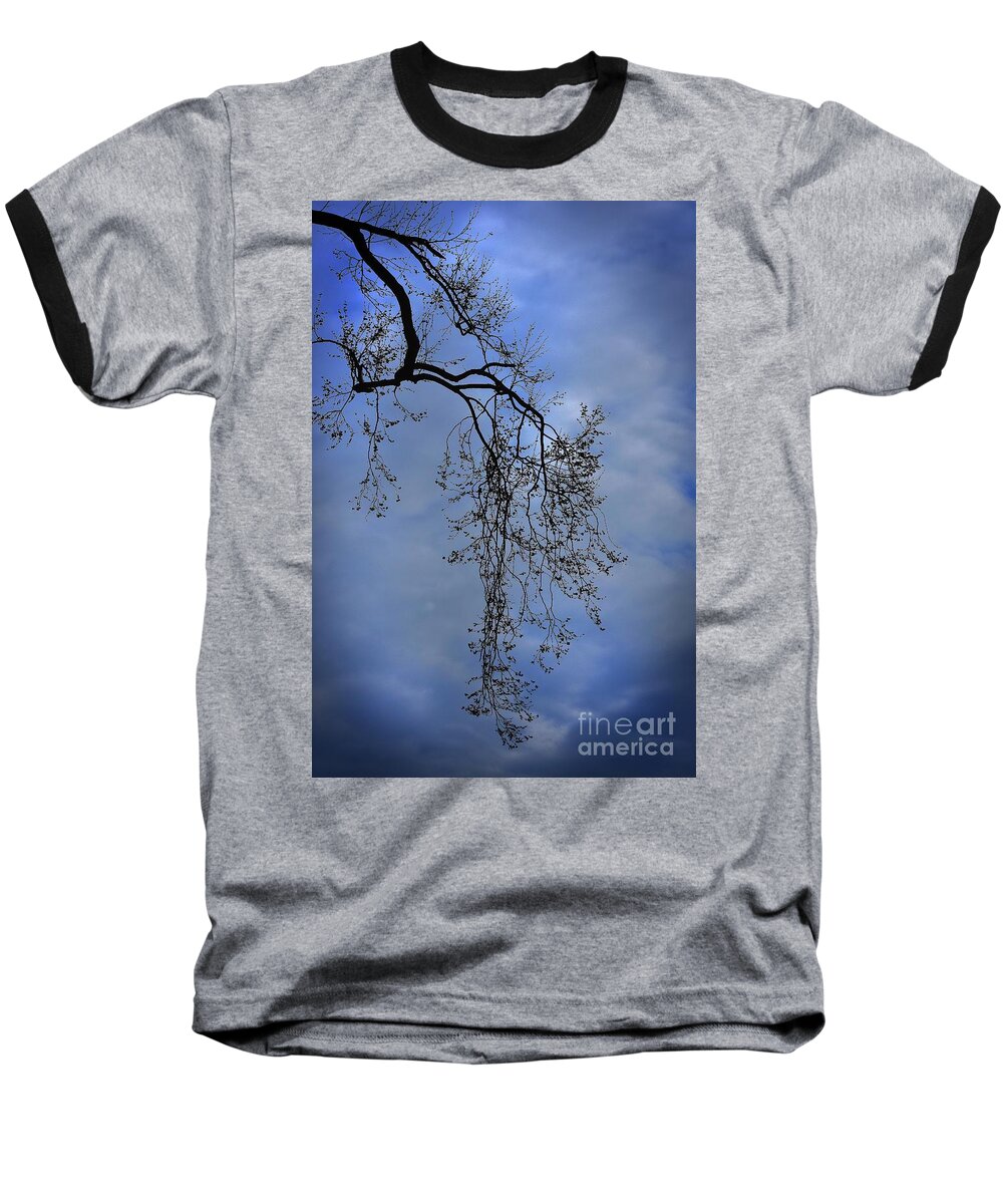 Nature Baseball T-Shirt featuring the photograph Filigree From On High by Skip Willits