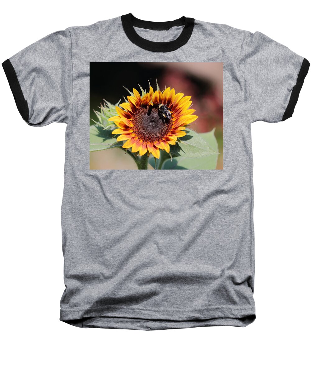 Sunflower Baseball T-Shirt featuring the photograph Firecracker by John Moyer