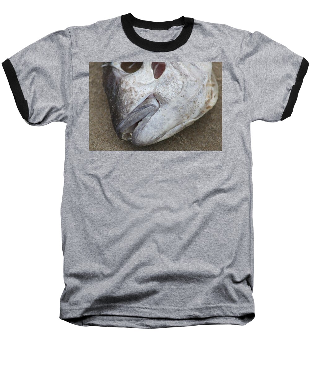 Fishhead Baseball T-Shirt featuring the photograph Fish Head by Steve Kelly