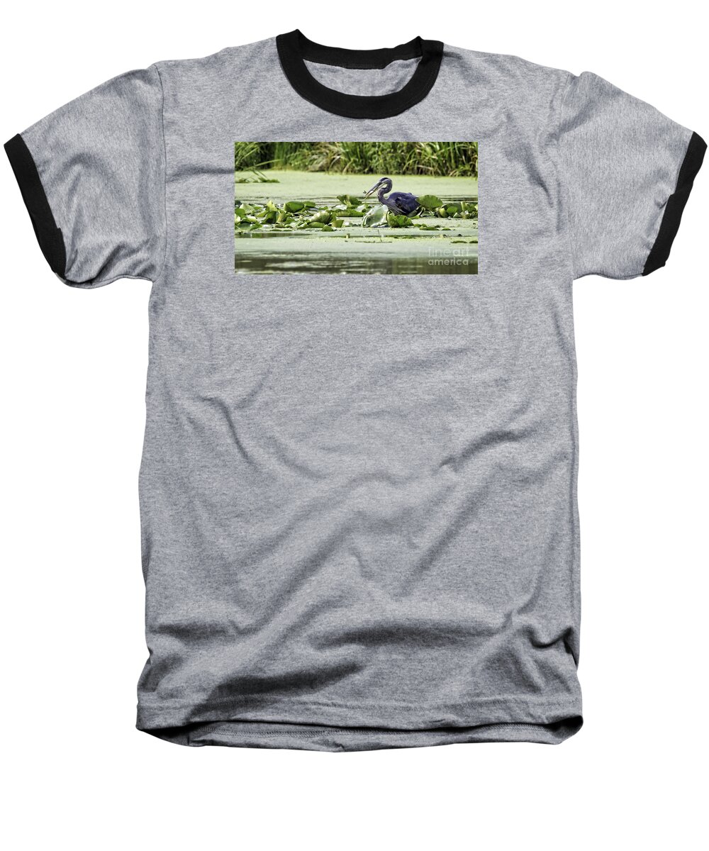 Great Blue Heron Baseball T-Shirt featuring the photograph Fishing by Jan Killian