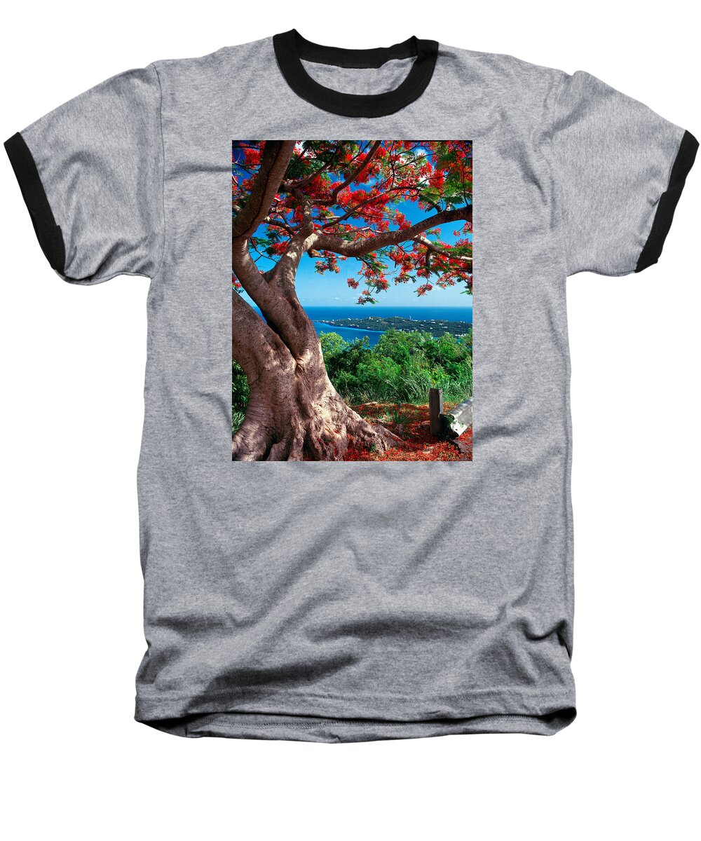Flame Tree Baseball T-Shirt featuring the photograph Flame tree St Thomas by Gary Felton