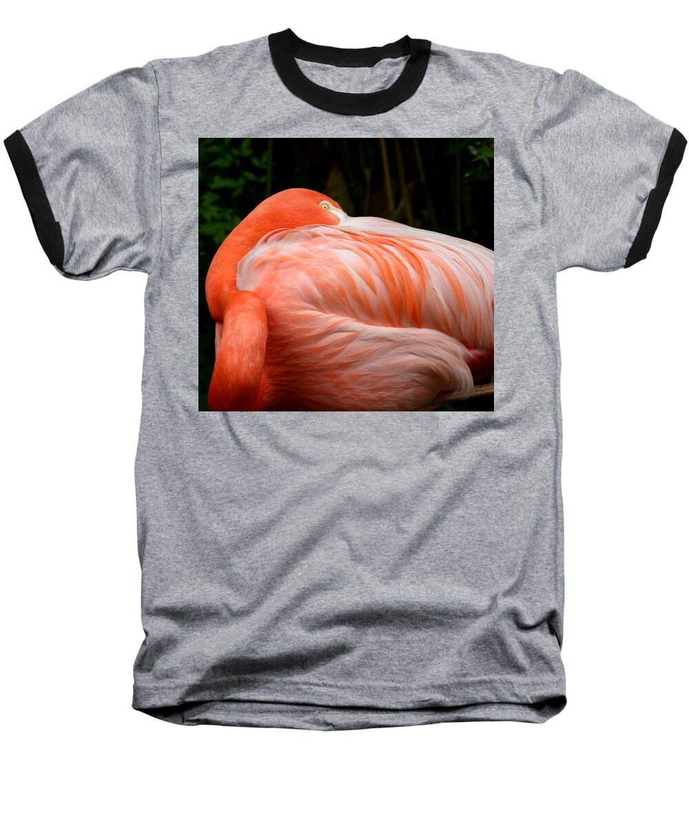 Animals Baseball T-Shirt featuring the photograph Flaming o by Cathy Harper