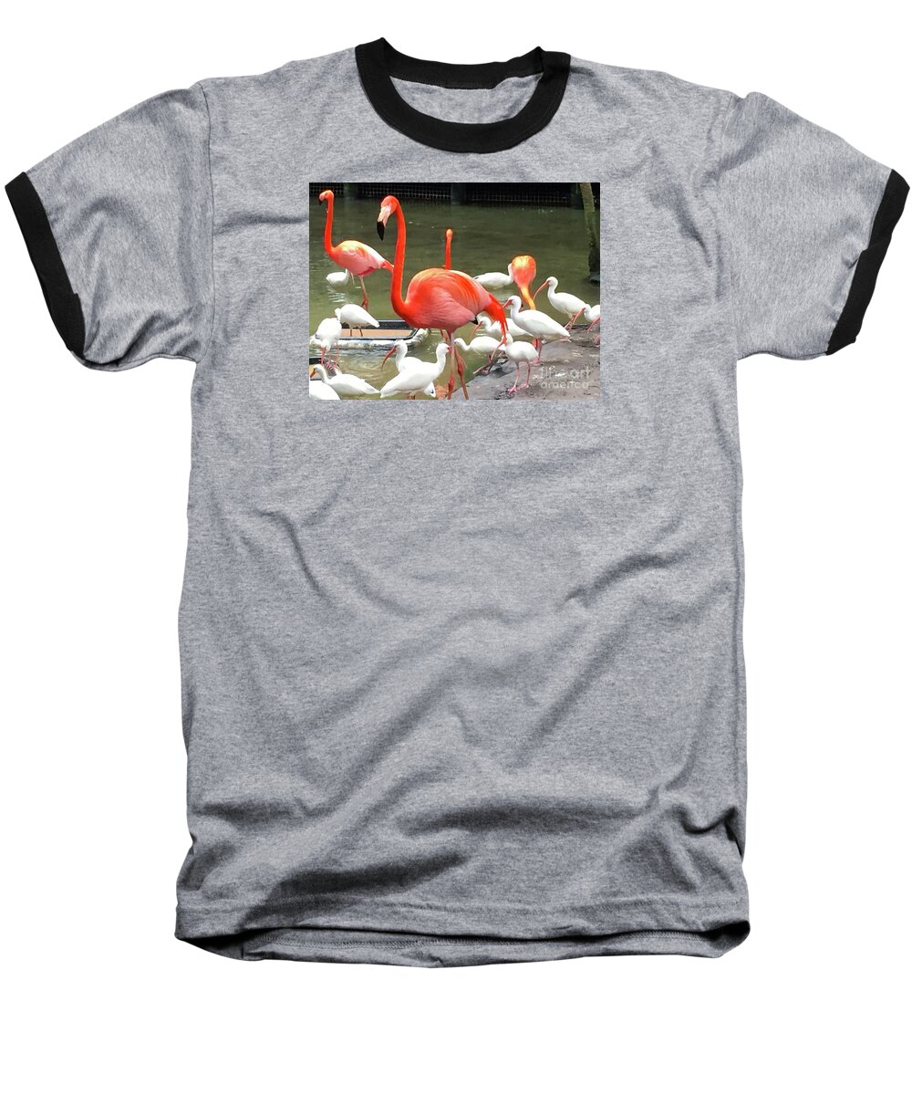 Flamingo Baseball T-Shirt featuring the photograph Flamingo Party by Beth Saffer