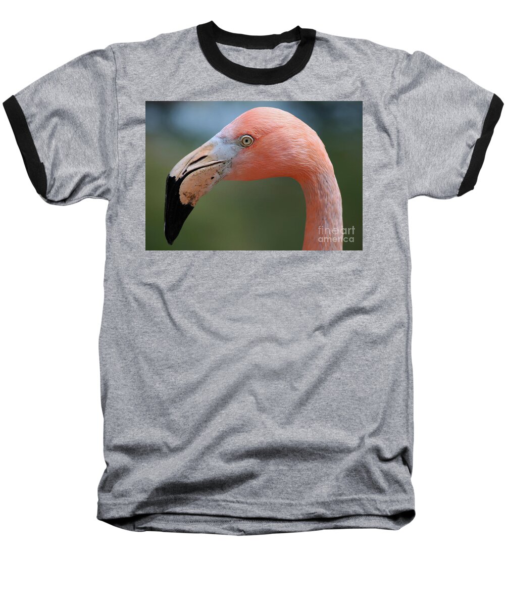 Flamingo Baseball T-Shirt featuring the photograph Flamingo Protrait by Marty Fancy
