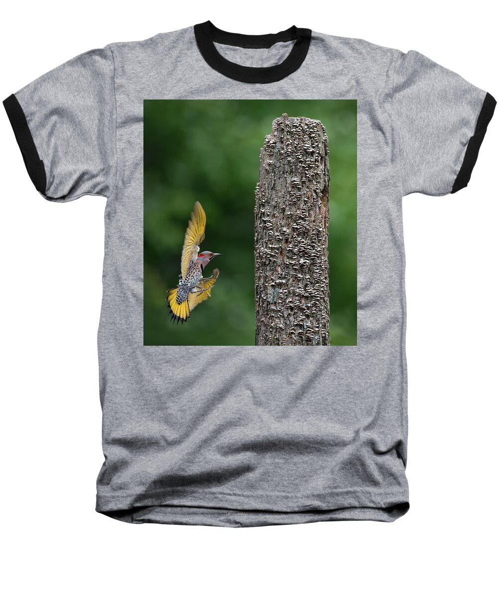 Flicker Baseball T-Shirt featuring the photograph Flash of Yellow by Art Cole