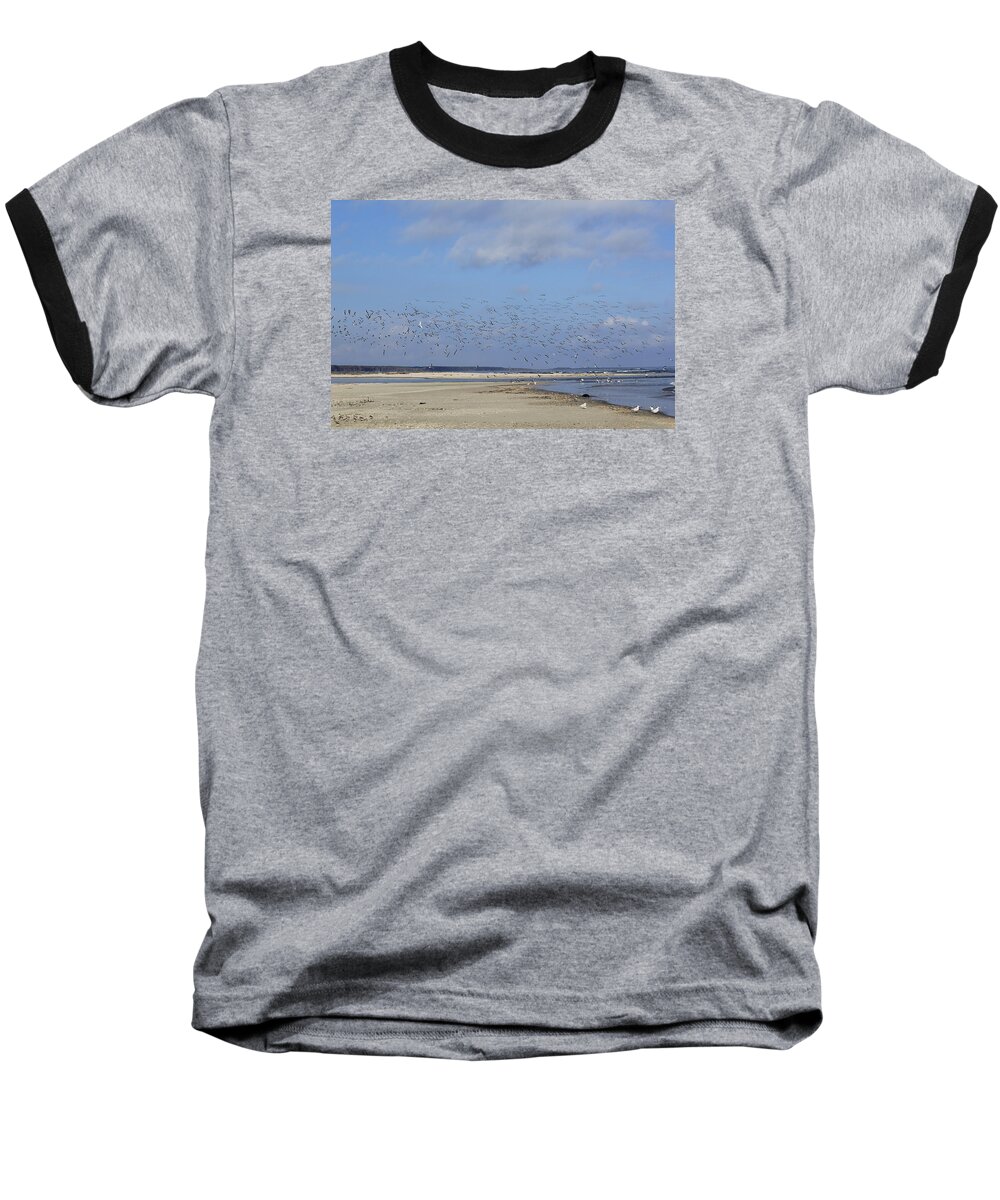 Seaside Baseball T-Shirt featuring the photograph Flight by Tammy Schneider