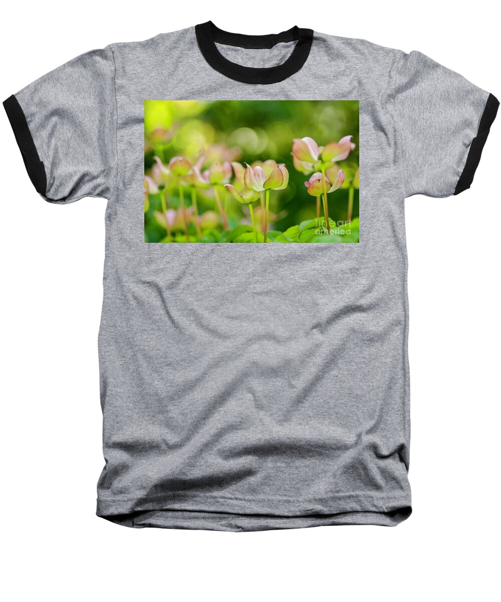 Meadow Flower Baseball T-Shirt featuring the photograph Floral Art by Nick Boren