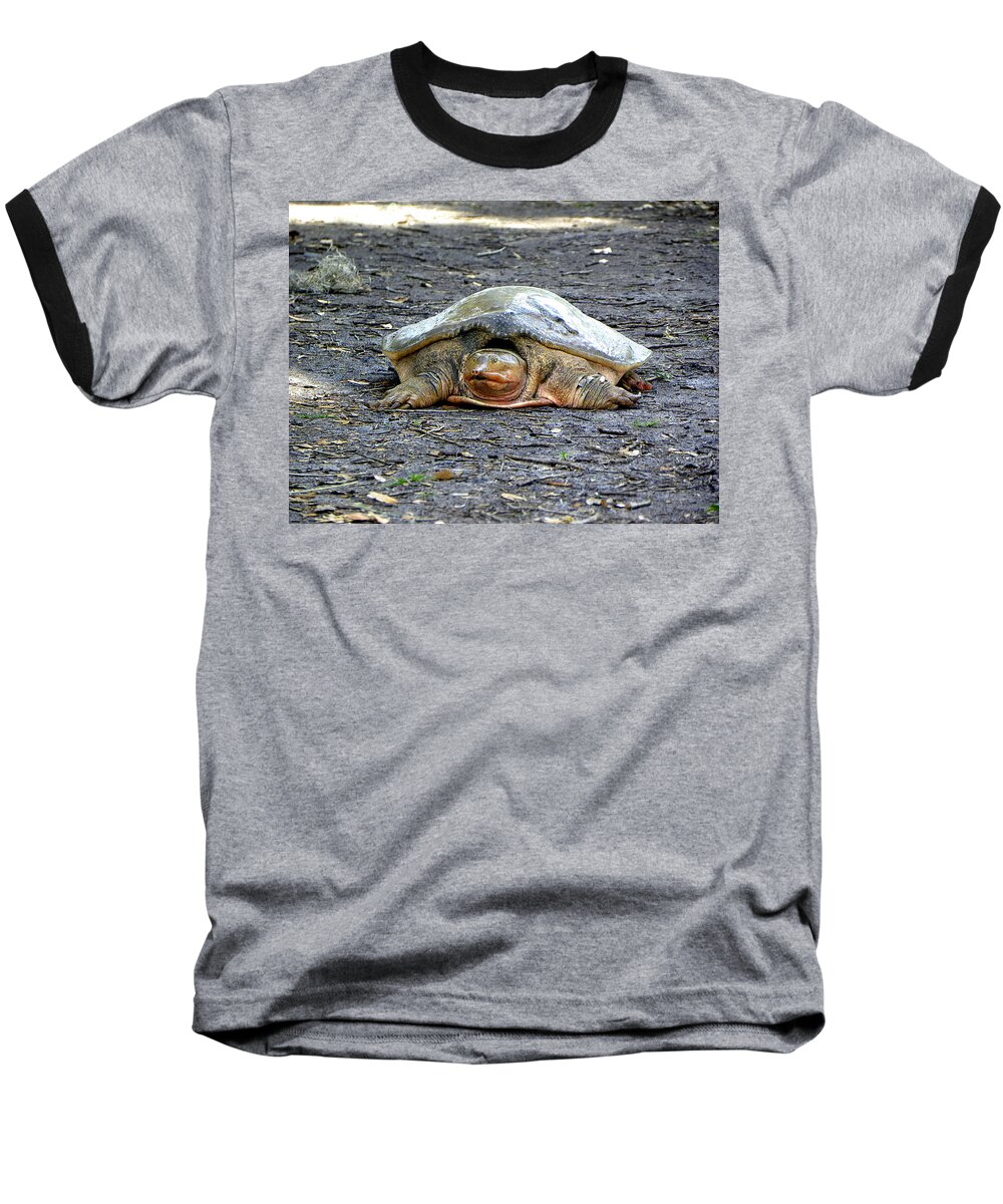 Turtle Baseball T-Shirt featuring the photograph Florida Softshell Turtle 002 by Christopher Mercer