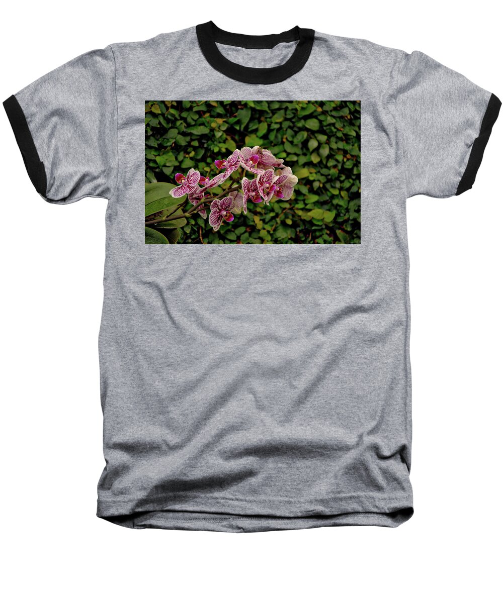Belgium Baseball T-Shirt featuring the photograph Flower 1 by Ingrid Dendievel