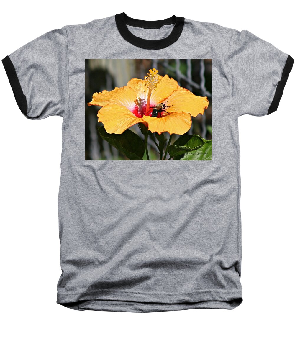 Flower Baseball T-Shirt featuring the photograph Flower Bee by Matalyn Gardner