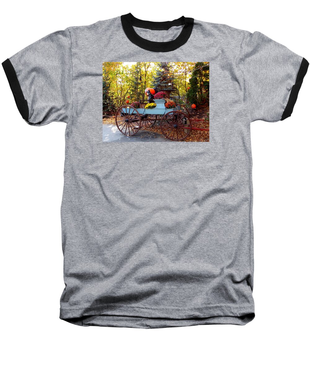 Roger Williams Park Baseball T-Shirt featuring the photograph Flower Filled Wagon by Catherine Gagne
