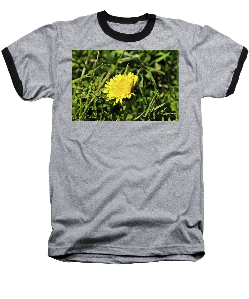 Flowers Baseball T-Shirt featuring the photograph Flower macro 2 by Karl Rose