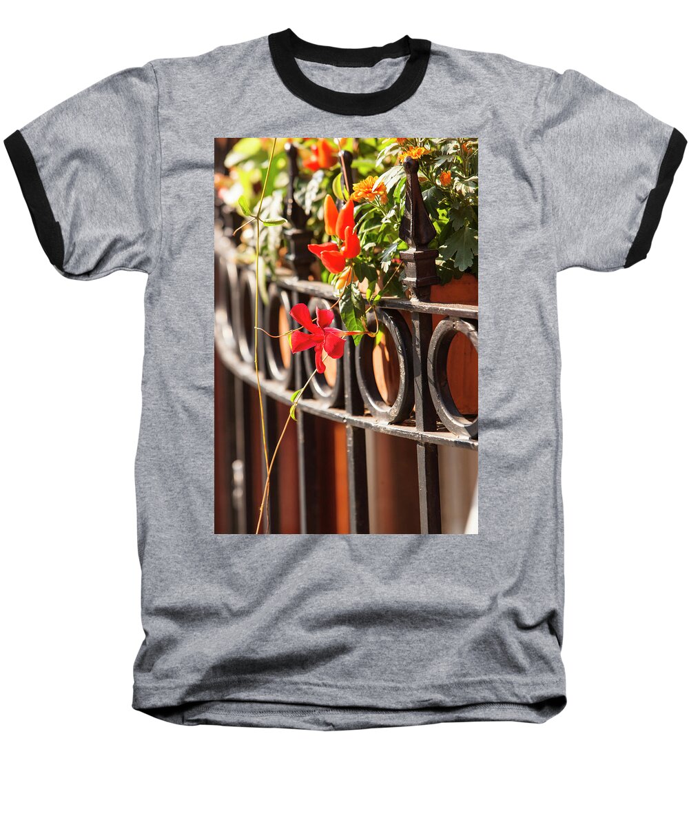 Flowers Baseball T-Shirt featuring the photograph Flowers and rod iron by Jason Hughes
