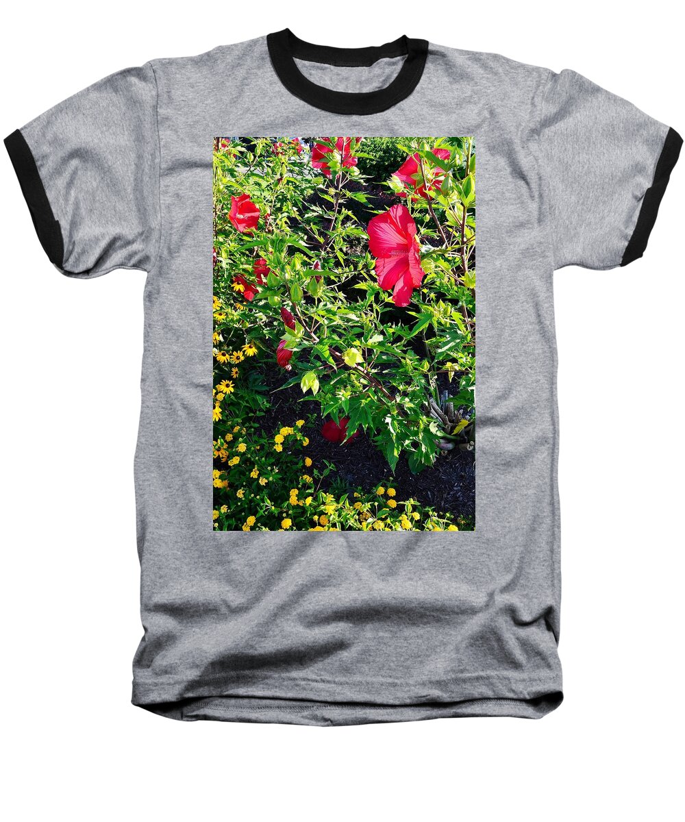  Baseball T-Shirt featuring the photograph Flowers of Bethany Beach - Hibiscus and Black-Eyed Susams by Kim Bemis