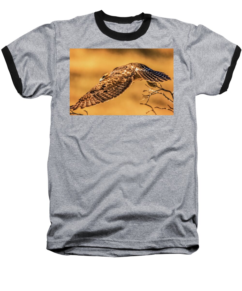 California Baseball T-Shirt featuring the photograph Flying at Sunset by Marc Crumpler