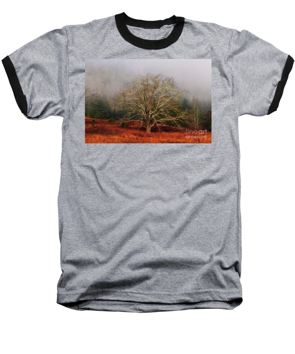 Fog Baseball T-Shirt featuring the photograph Fog Tree by Geraldine DeBoer