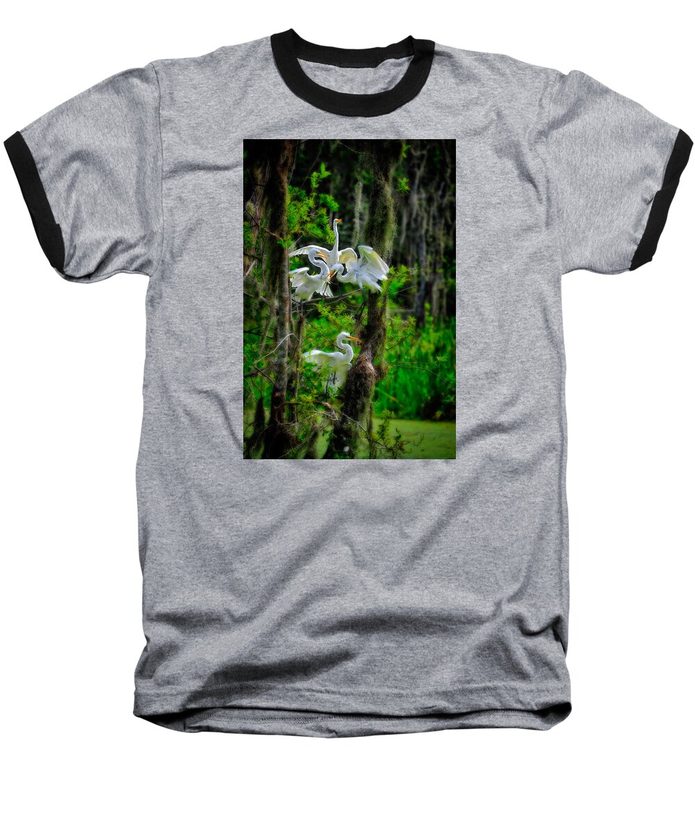 Birds Baseball T-Shirt featuring the photograph Four Egrets in Tree by Harry Spitz