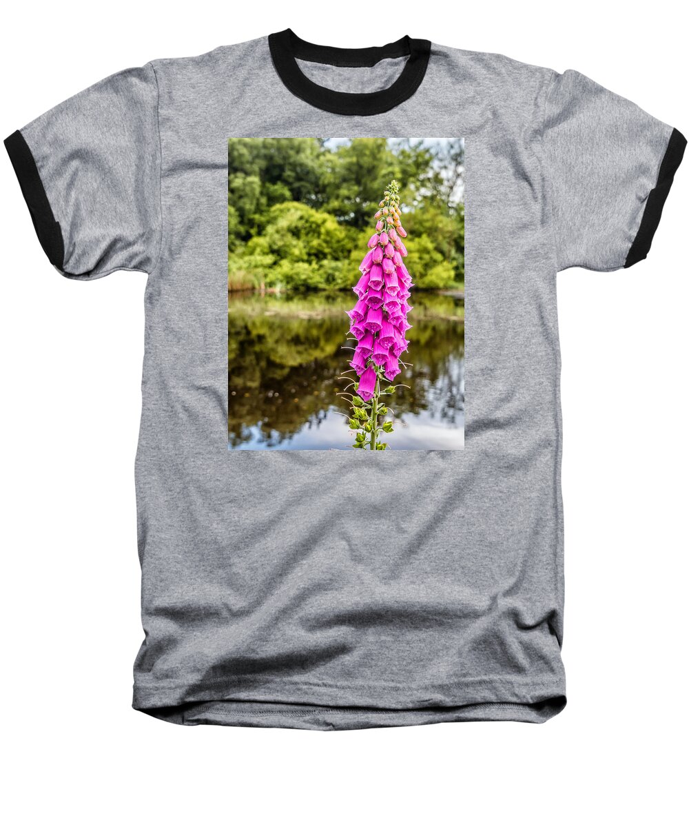 Charnwood Baseball T-Shirt featuring the photograph Foxglove in Flower by Nick Bywater