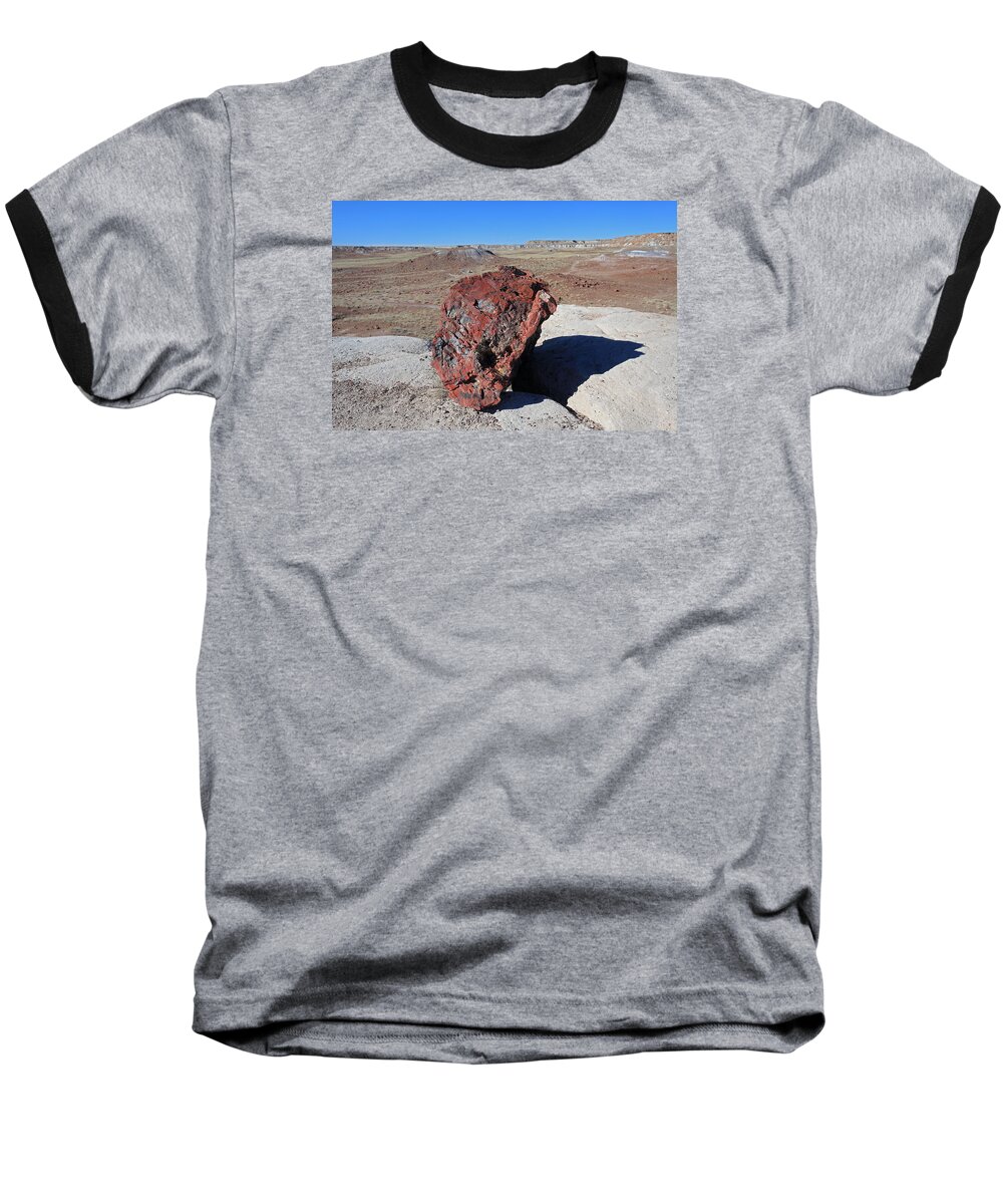 Petrified Forest Baseball T-Shirt featuring the photograph Fragile Survivor by Gary Kaylor