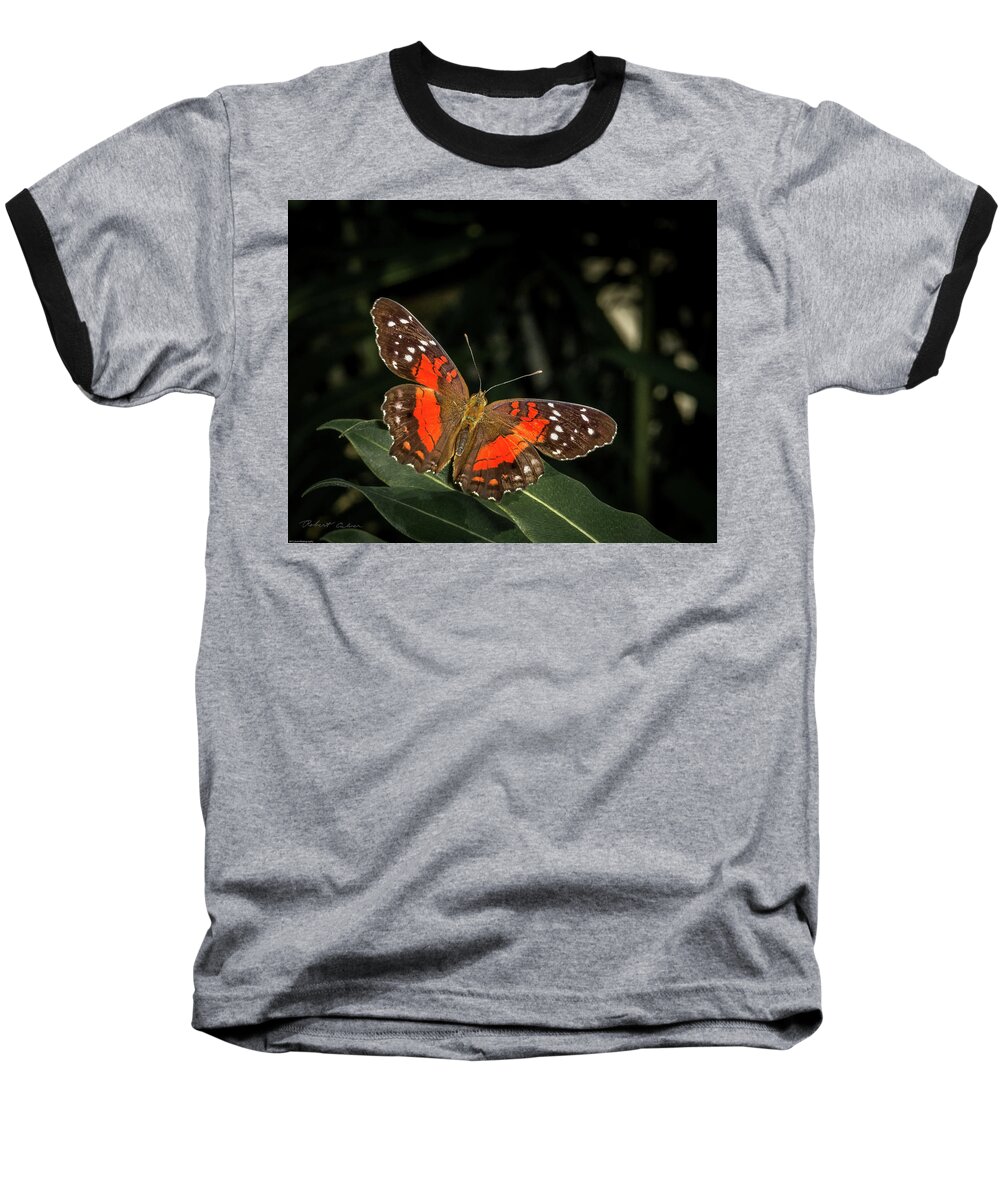 Butterfly Baseball T-Shirt featuring the photograph Free as a Butterfly by Robert Culver