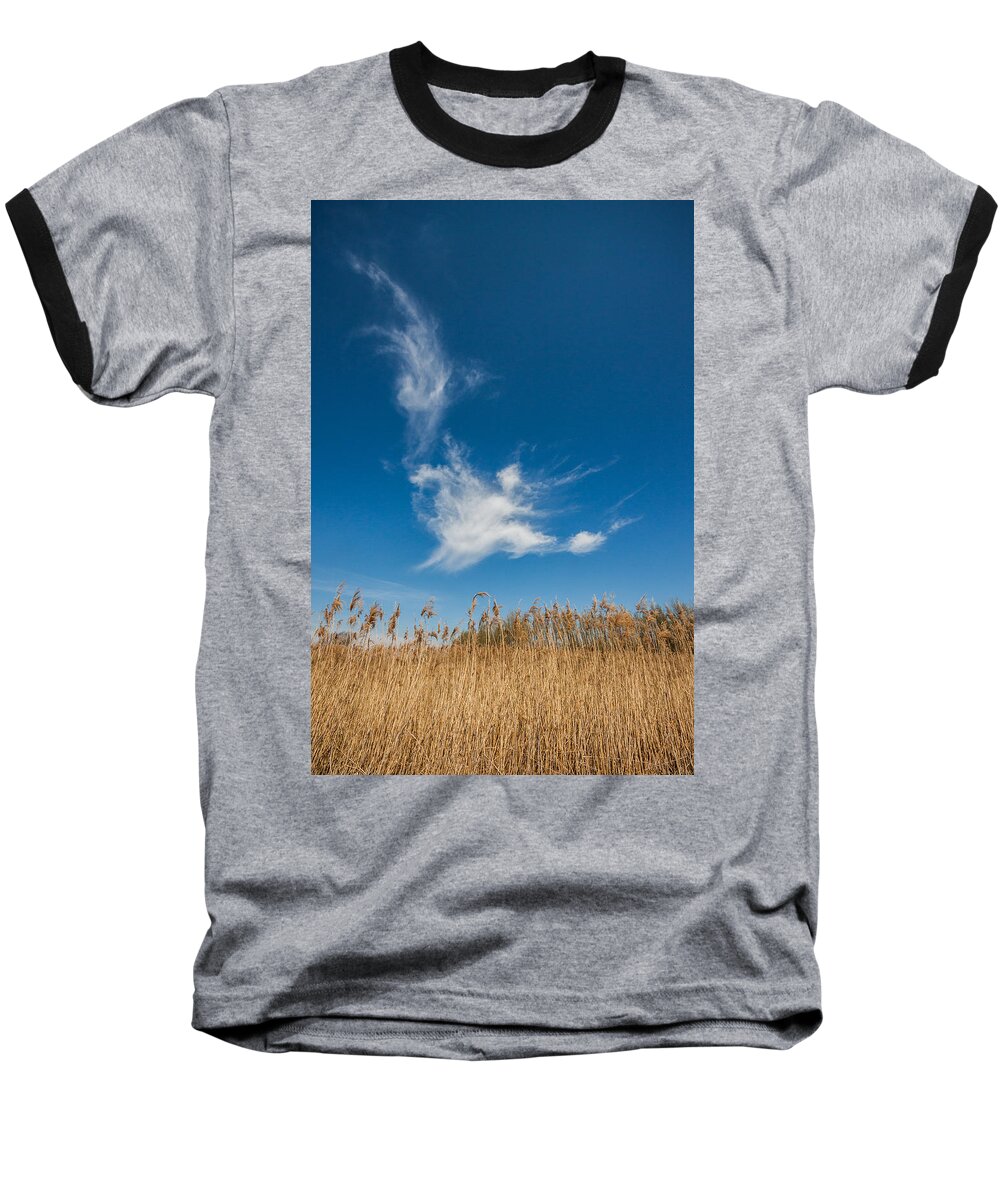 Spring Baseball T-Shirt featuring the photograph Freedom by Davorin Mance