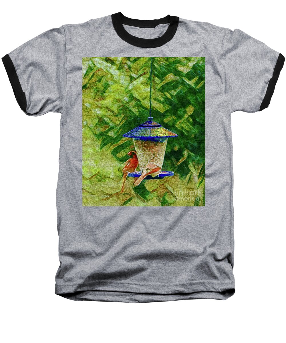 Birds Baseball T-Shirt featuring the photograph Freeloaders by Larry Mulvehill