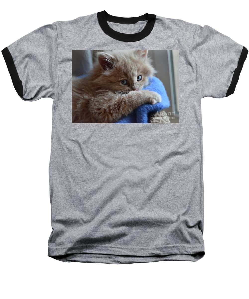 Kitten Baseball T-Shirt featuring the photograph Freya #1 by Cindy Schneider