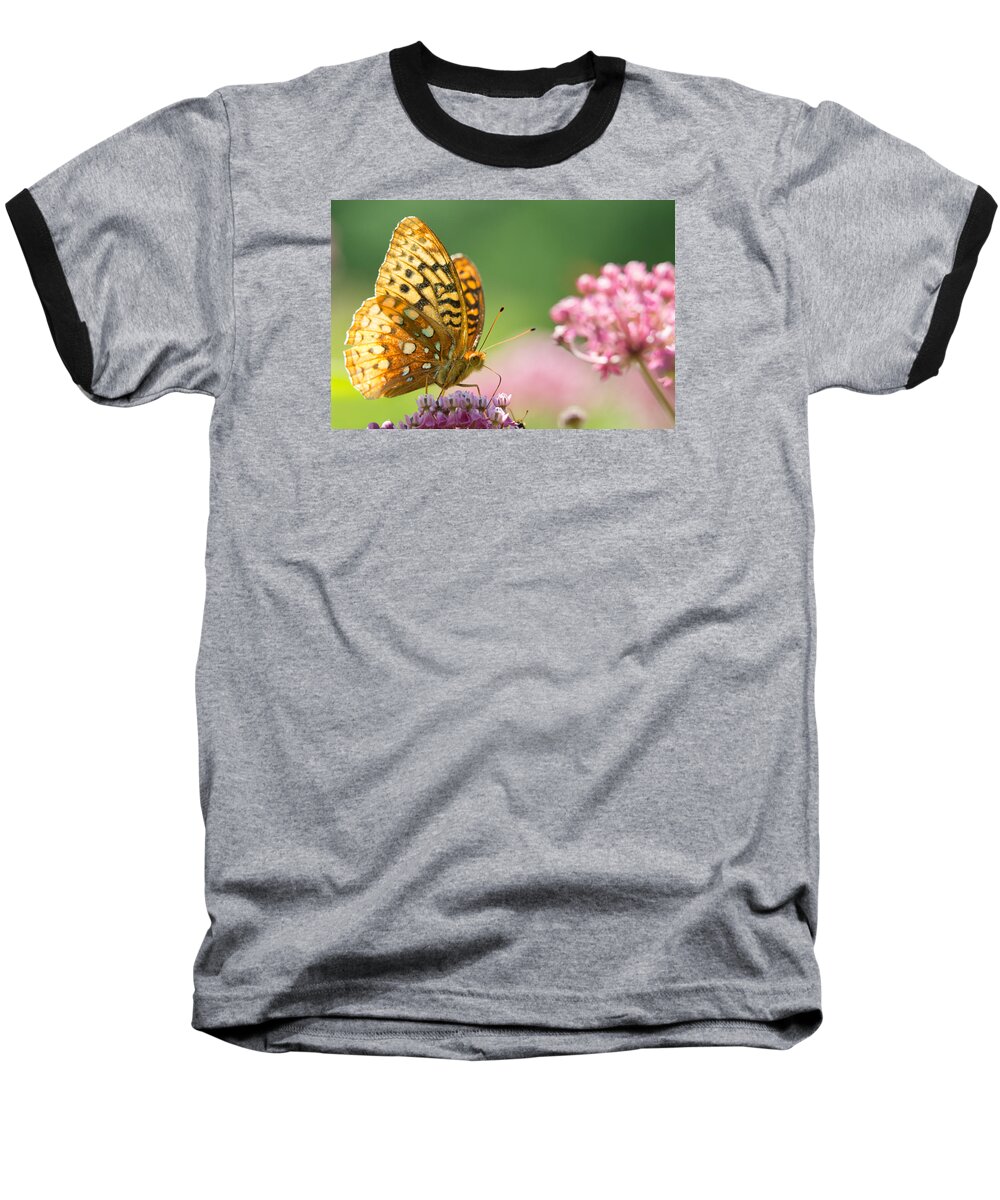 Butterfly Baseball T-Shirt featuring the photograph Fritillary by Brian Hale