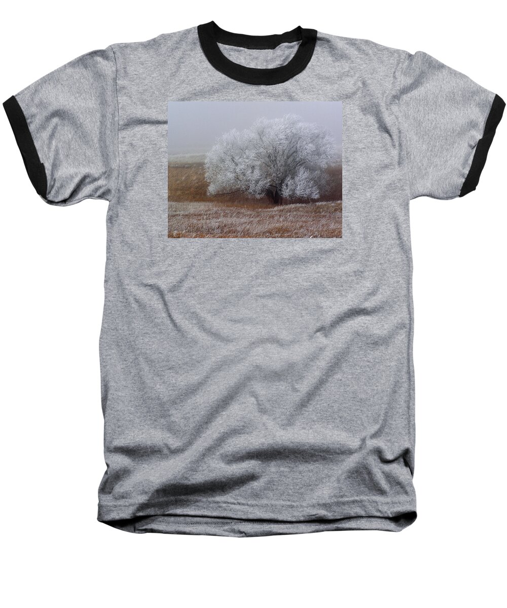 Cottonwood Baseball T-Shirt featuring the photograph Frost and Fog by Alana Thrower
