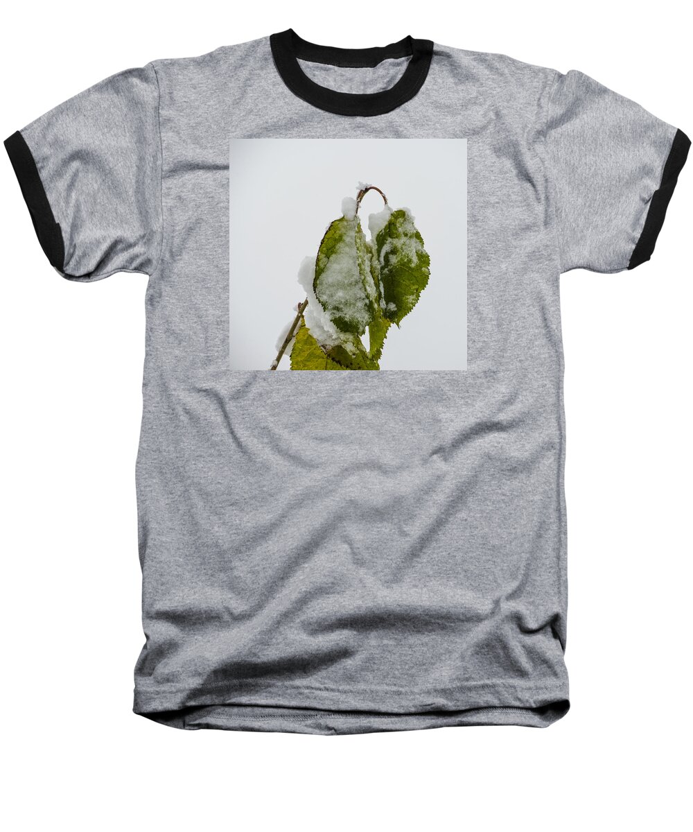 Snow Baseball T-Shirt featuring the photograph Frosty Green Leaves by Deborah Smolinske