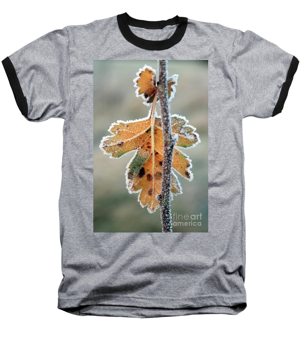 Winter Morning Frost Frosty Leaf Baseball T-Shirt featuring the photograph Frosty leaf by Julia Gavin