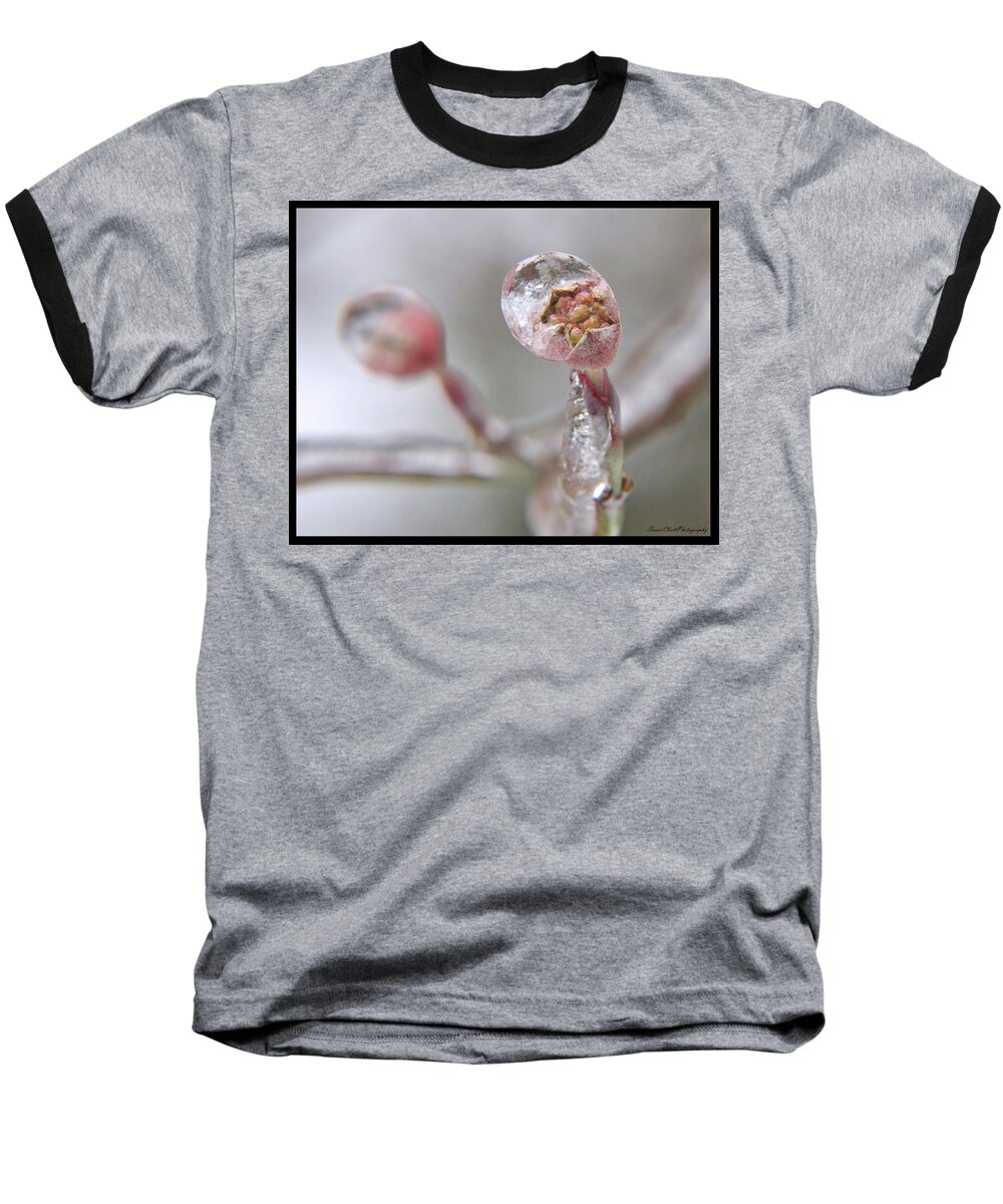 Flower Baseball T-Shirt featuring the photograph Frozen Dogwood Bud by Susan Cliett