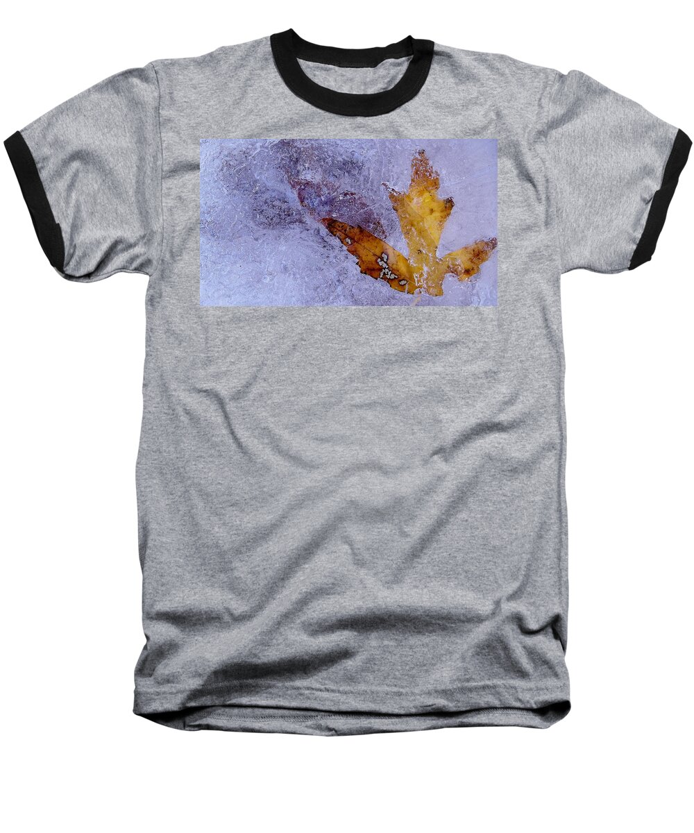 Nature Baseball T-Shirt featuring the photograph Frozen in Time by Shelli Fitzpatrick