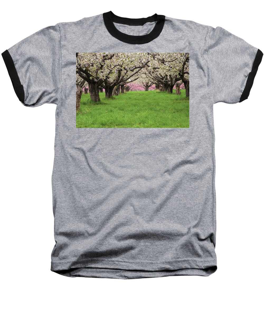 Orchard Baseball T-Shirt featuring the photograph Fruit Orchard by Douglas Pulsipher